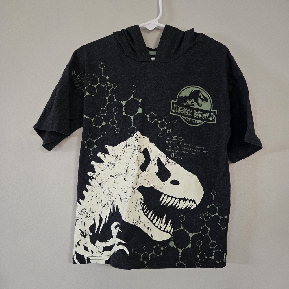 Kids Jurassic World Short Sleeve Charcoal And Green Hoodie And Shorts Outfit